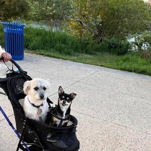 Meet your Posher, Jinda